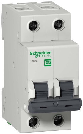 19_Выключатель автоматический Easy 9 2п 50А (С) 4,5кА Schneider Electric